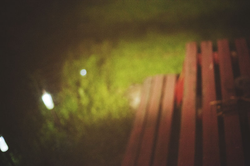 stray-cat-behind-picnic-table